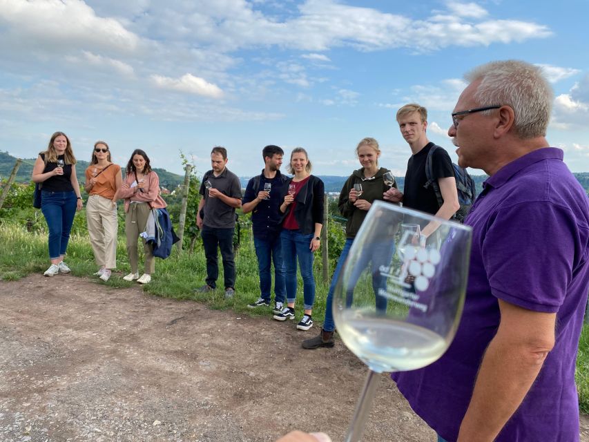 Stuttgart: Wine Tour with wines of the best winemakers - German-language guiding and what you will learn