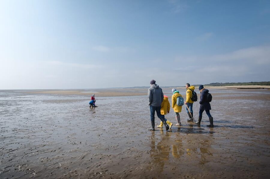 Sylt: Guided Mudflat Hike on the Island - Why Sylt’s mudflats are worth your time