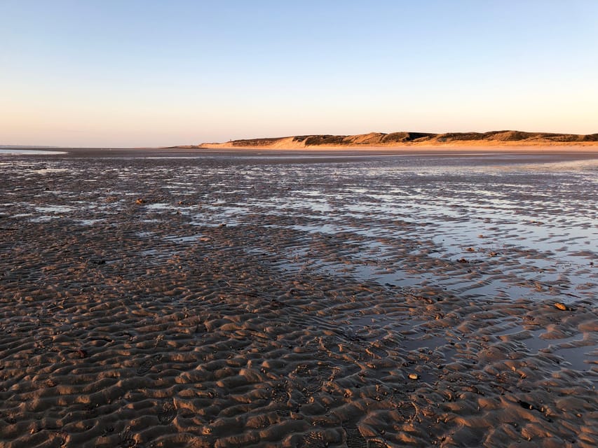 Sylt: Guided Mudflat Hike on the Island - What the $19 price really buys you