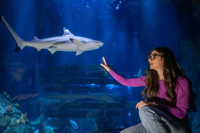 Ticket to SEA LIFE Konstanz - A water journey that begins at Lake Constance