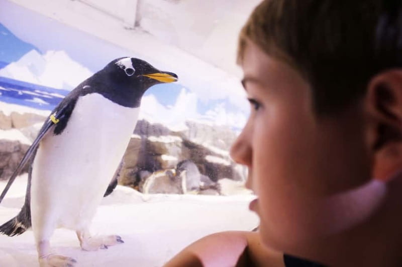 Ticket to SEA LIFE Konstanz - Interactive features for younger visitors