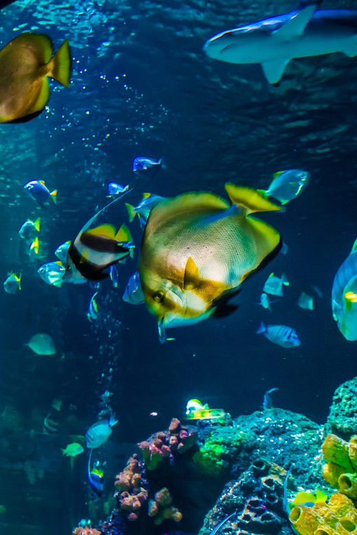 Timmendorfer Strand: SEA LIFE Behind the Scenes Tour - What happens behind the tanks