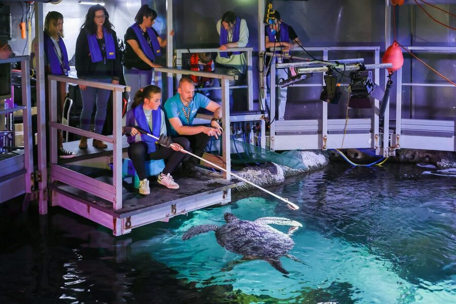 Timmendorfer Strand: SEA LIFE Behind the Scenes Tour - Twelve underwater worlds before the staff areas